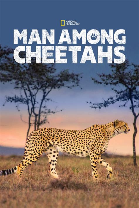 man cheetah episode|i am a man cheetah.